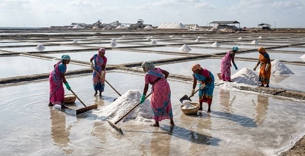 Top 5 Salt Producing States in India