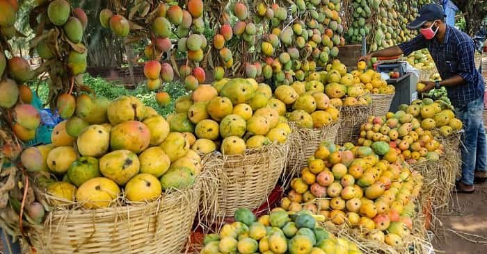 Top 5 Highest Mango Producing States in India